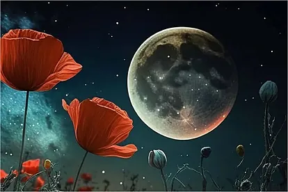 Moonset_50140_-1024x676.jpg