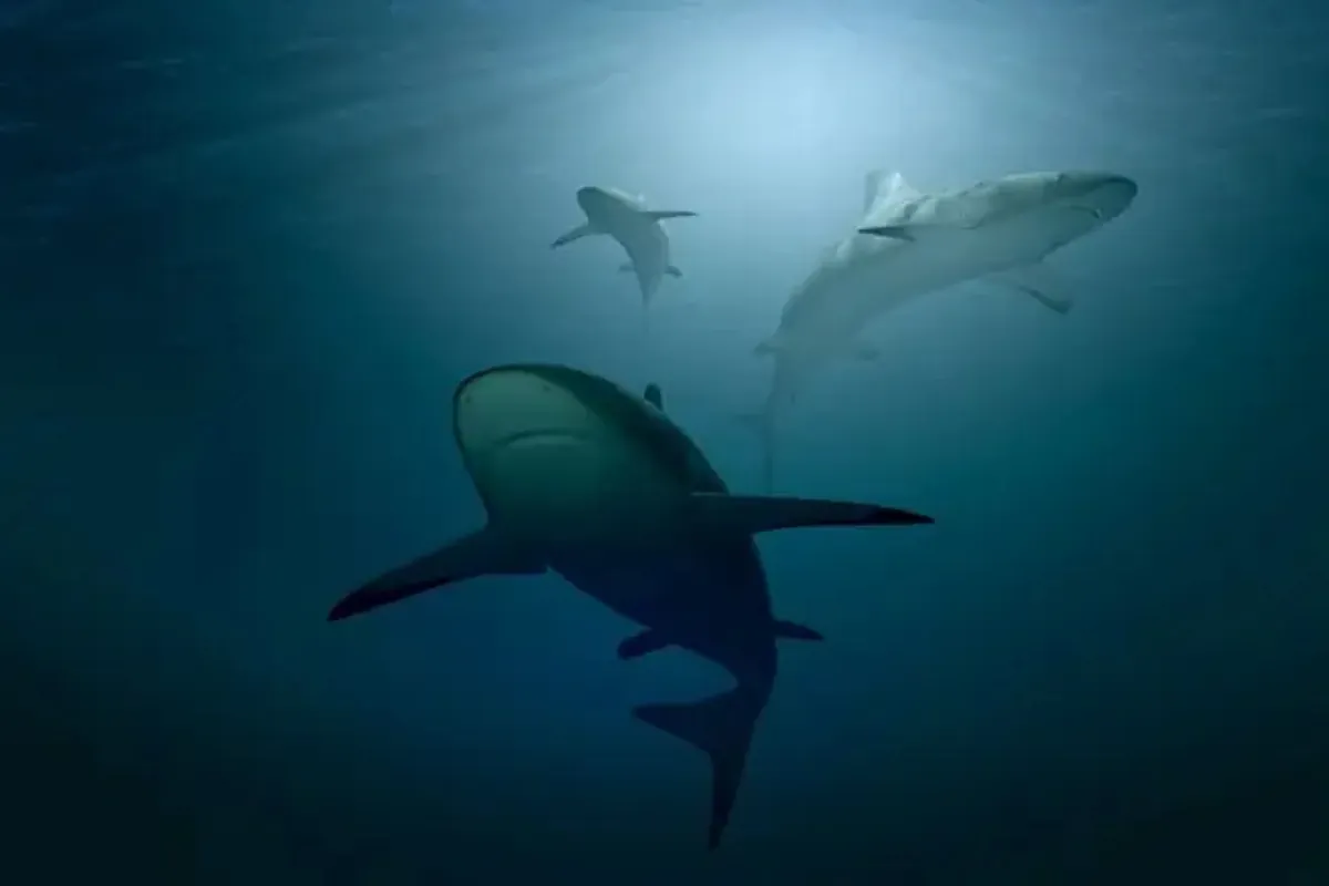 Historic discovery in the world's largest cave: two sea monsters appear after 325 million years buried