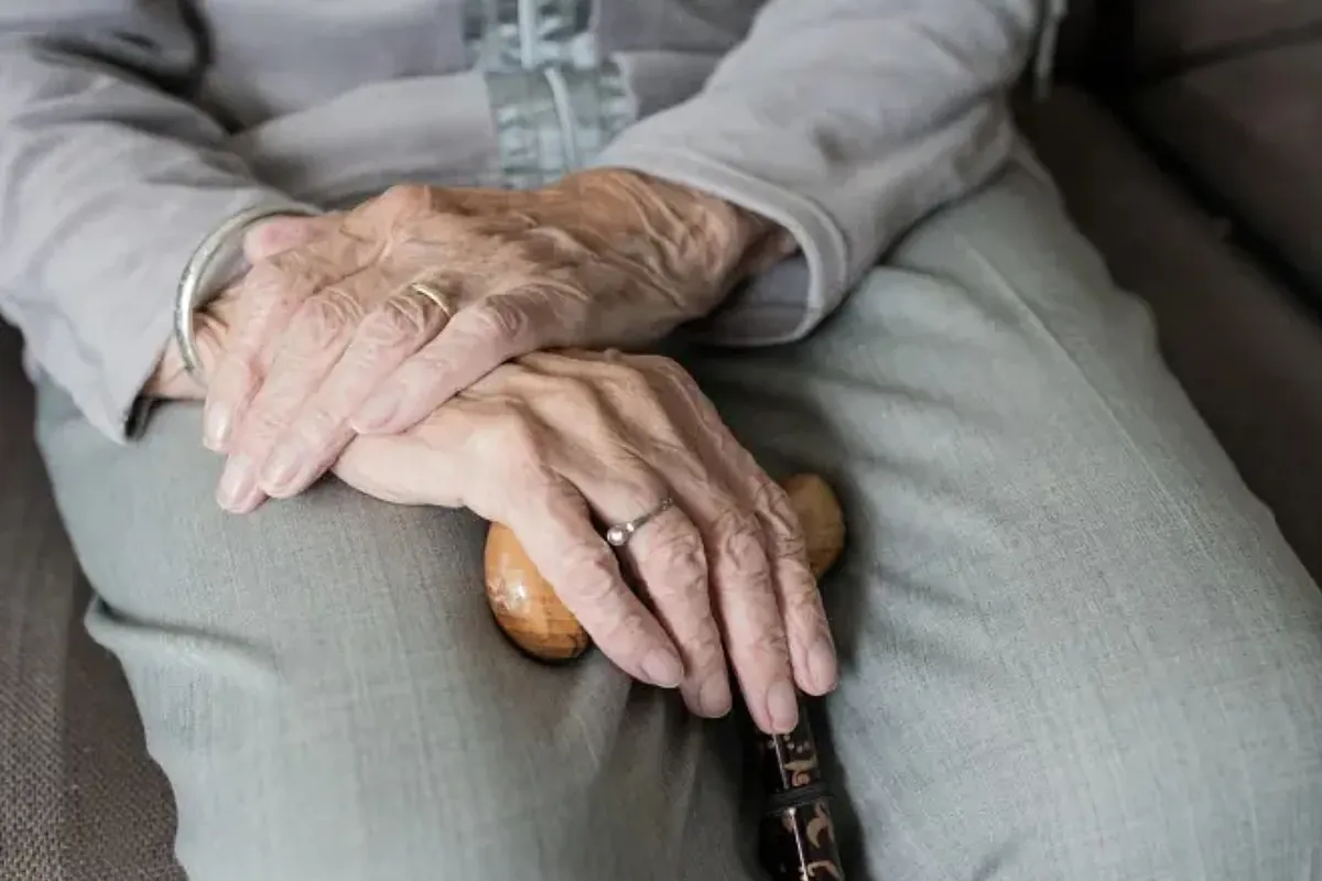A Harvard scientist says what no one dares to say about aging: "Human trials will begin soon"
