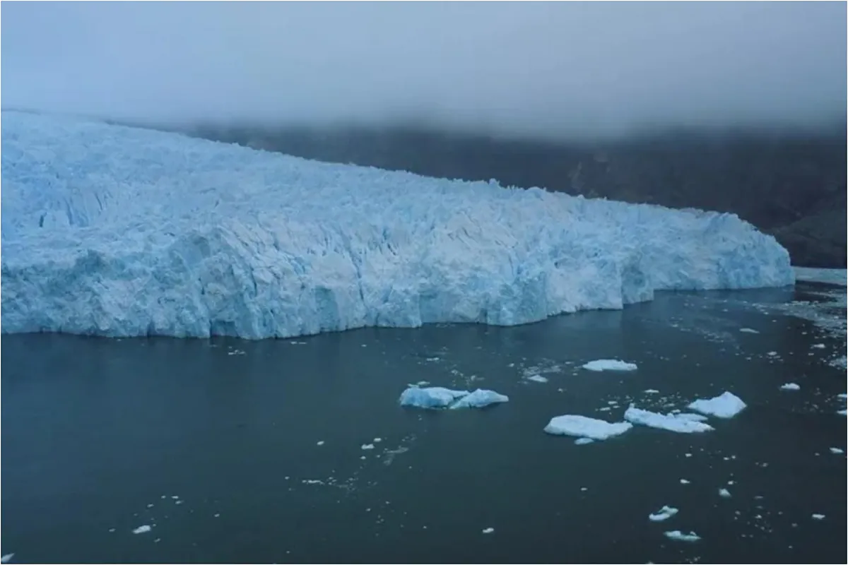 Goodbye to everything we believed about melting ice: study now finds it is driving marine life in areas where there was previously nutrient limitation
