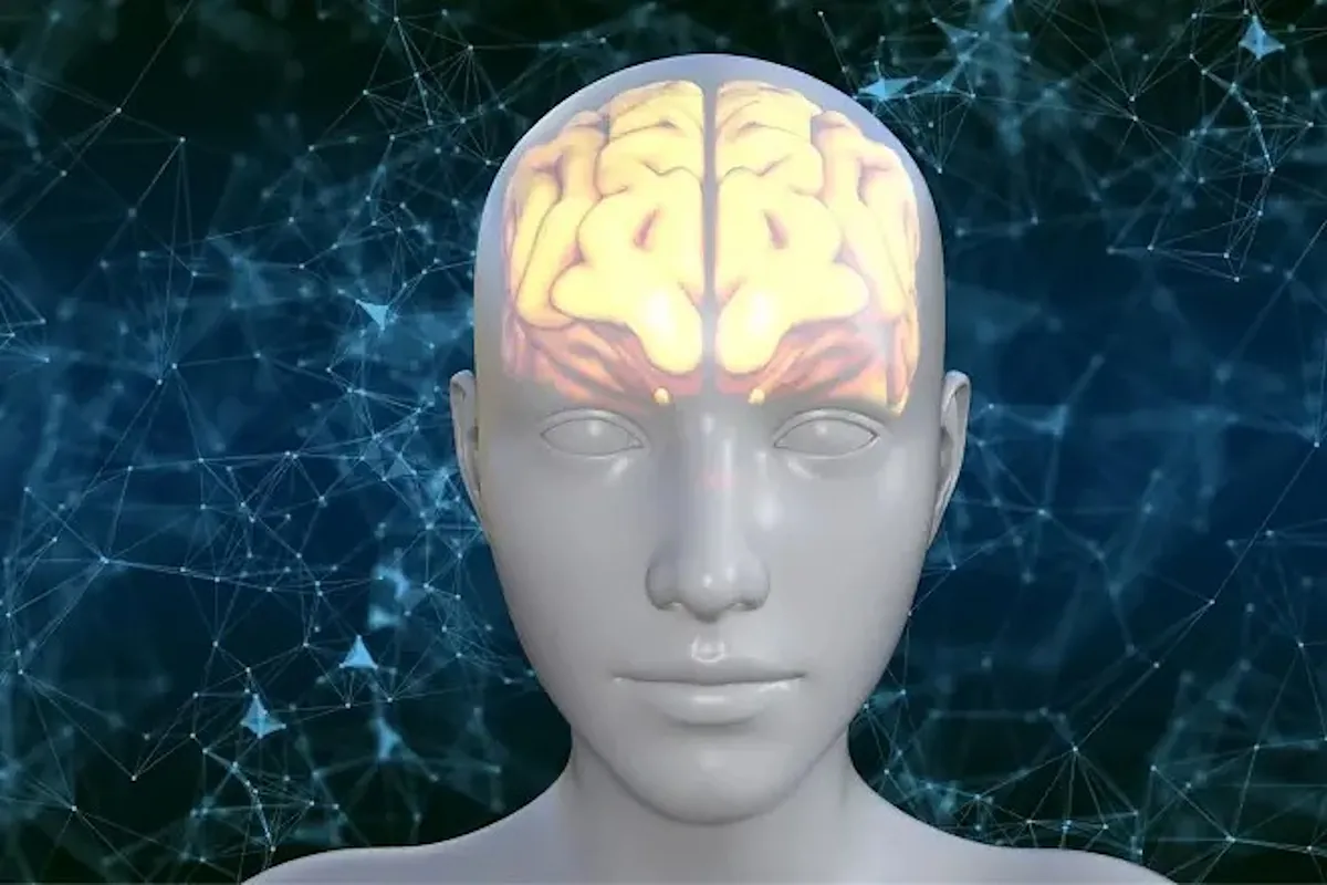 Scientists identify a protein that ages the brain, but also how to stop it