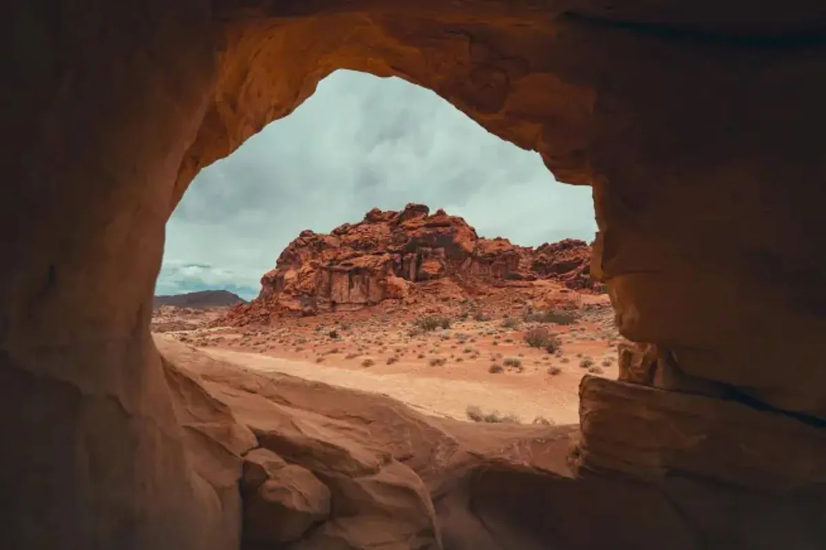 Forget everything you know about sharks: species from over 300 million years ago discovered