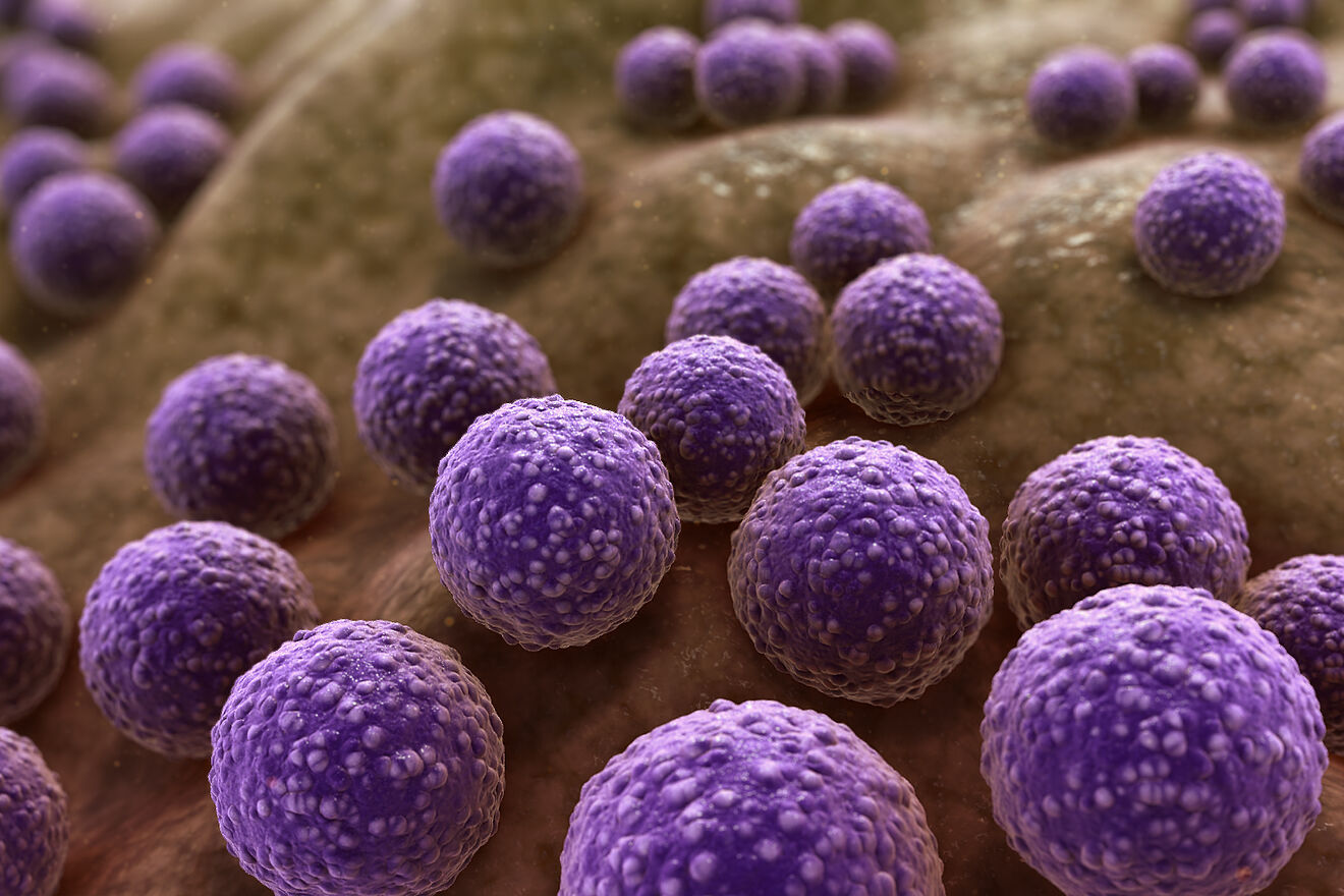 Florida Coast on Alert: Rising Cases of Flesh-Eating Bacteria – What You Need to Know